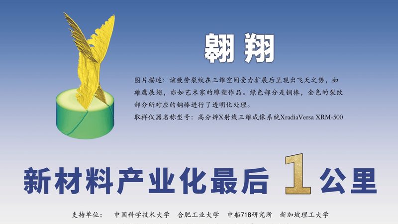 获取样品后，用户应进行以下验证：