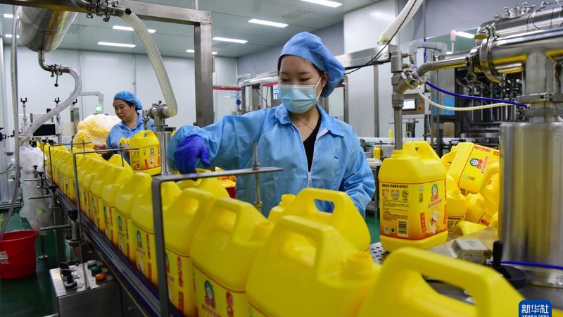 新材料出口代理合同范本：关键条款与注意事项**